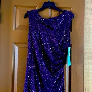 Color of this dress is called Eggplant,, size 8,, has lots of sparkling